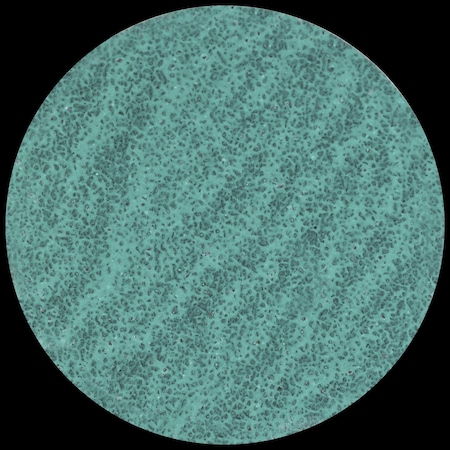 Tryolit Abrasives TYROLIT Premium 3" 120 Grit Type-R Ziconium Grinding Disc for Steel and Stainless Steel, ZA-P48 PE Y 112452